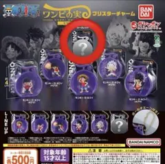 ワンピの実ミクロ ブリスターチャーム シークレット