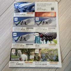 日本駐車場開発 株主優待 1冊 クーポン リフト 那須ハイランド NPD