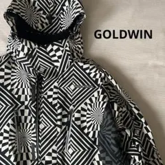 GOLDWIN スキーウェア　ジャケット