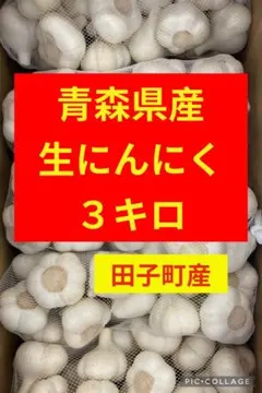 26年産 低農薬 生にんにく 3kg ホワイト6片 サイズ L~2L - メルカリ