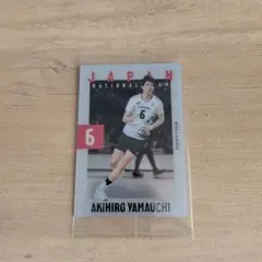 バレーボール日本代表 山内晶大 カード