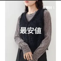 最安値！定価5940円、未開封、Kastaneシャギーニットベスト