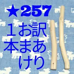 Item thumbnail for item 05e100a9-5821-40c9-a850-c041627e3b96