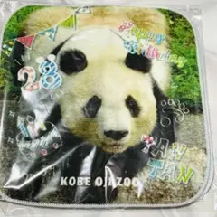 2026年最新】タンタン 王子動物園 パンダの人気アイテム - メルカリ