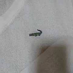 Crocodile クリーム色 Vネックセーター M