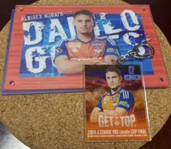 アルビレックス新潟 ダニーロゴメス