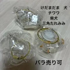 うちの子のけだまだま　正規品　ガチャガチャ　3個セット