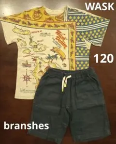WASK 半袖Tシャツ branshes ハーフパンツ 120cm 2点セットのサムネイル
