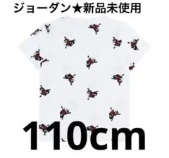 Jordan Brand Tシャツ キッズ 新品未使用 ジョーダン 110のサムネイル