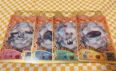 ⭐︎まよ様専用⭐︎