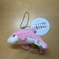 マクセルアクアパーク品川 水族館 イルカ マスコットキーホルダー ピンクのサムネイル