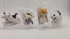 おみくじ付き猫フィギュア 4体セット 未開封