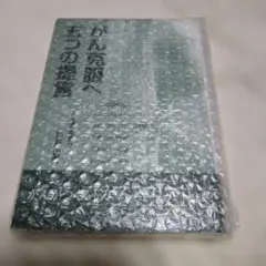 Item thumbnail for item 2ae93847-5b82-4b53-9466-db0727b3d56b