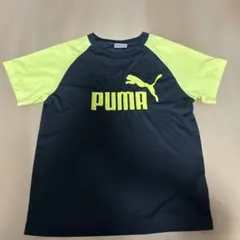 PUMA Tシャツ 140