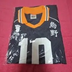 【新品未開封】ハイキュー 公式 10周年 日向翔陽 ユニフォーム Lサイズ