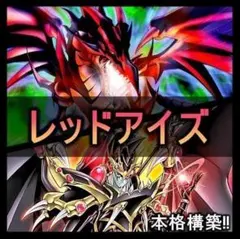 2581】遊戯王 メタル化 レッドアイズ 真紅眼の黒竜 本格構築 デッキ