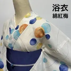 【美品】 水玉模様 浴衣 単品 綿紅梅 お祭り ゆかた 夏 着物 おび工房