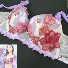 最終価格 ワコール サルート BTJ751(C70) PTJ451(M) SG - メルカリ