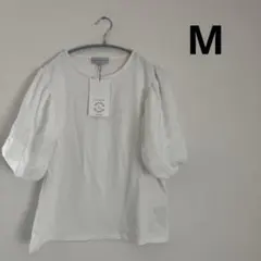 Item thumbnail for item fd4c41d7-1c54-4cd3-9e4f-dc270c22eca5