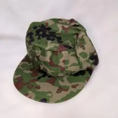 Item thumbnail for item 58390a04-6720-4bf4-bafd-f0e13be114f1