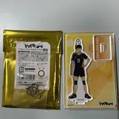 ハイキュー!! TDミニアクリルスタンドA 影山飛雄