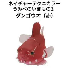 ネイチャーテクニカラー　うみべのいきもの2 ダンゴウオ（赤）