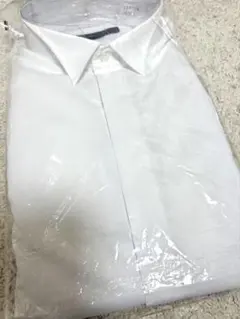 Item thumbnail for item c8f79565-2fd8-4a2d-92eb-30dcd56de599