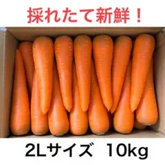 37 砂地栽培　新鮮な柔らかい大きな　人参　2Lサイズ　10kg 農家直送のサムネイル