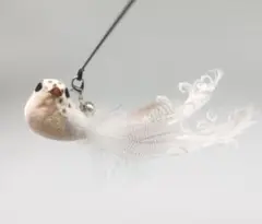 Item thumbnail for item 85ae0de7-cfa4-46b8-8c88-e570588b53a1