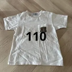 Item thumbnail for item 7eb54932-6709-4b32-b39b-00b2996bb3cd