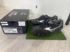 2026年最新】モレリアdnaの人気アイテム - メルカリ