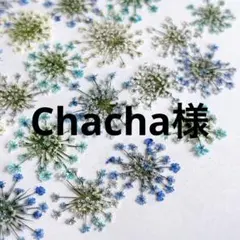 Chacha様 リクエスト 2点 まとめ商品