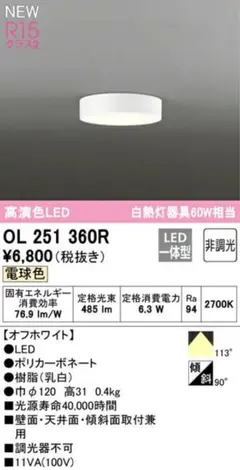 OL 251 360R LED 小型シーリングライト