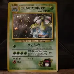 エリカのフシギバナ ポケモンカード 2026年最新】エリカのフシギバナの人気アイテム - メルカリ