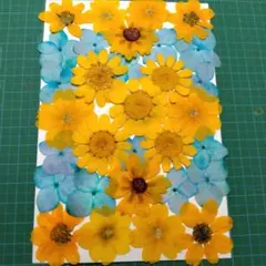 よみ様 リクエスト 3点 まとめ商品