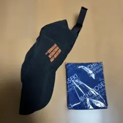 Item thumbnail for item 19e40beb-06aa-4edf-8c5c-0014e0347d30