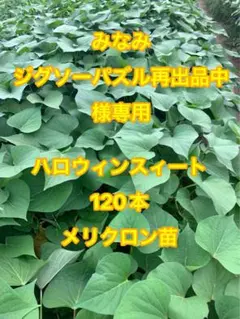 みなみ　ジグソーパズル再出品中様専用ページ。ハロウィンスイート 120本