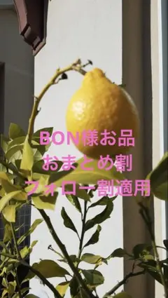 桜　ピアス イヤリング　ステンレス　チャーム　目印アクセサリー変更可能