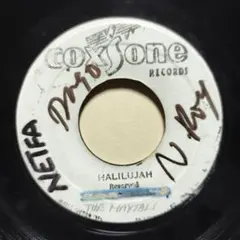 帯付き Sharon Forrester LP ジャマイカの妖精 レコード 帯付き Sharon Forrester LP ジャマイカの妖精 レコード - メルカリ