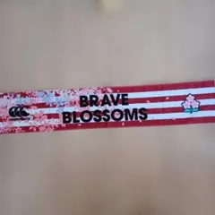 Canterbury BRAVE BLOSSOMS タオル2枚セット