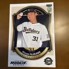 Item thumbnail for item ec9868e1-785a-48b3-8246-e31256113ebe