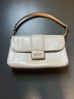 COACH ショルダーバッグ リザード型押し チェーン - メルカリ