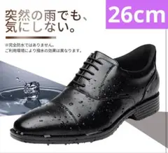 Item thumbnail for item e20f1717-5c92-4b47-a6e6-957b0c8062eb