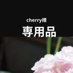 専用品のサムネイル