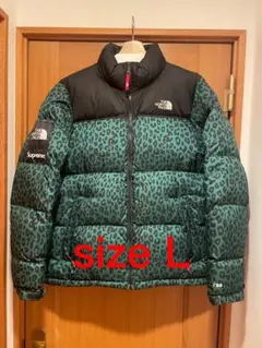 Supreme North Face Nuptse Down Jacket