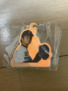 阪神タイガース 目印チャーム
