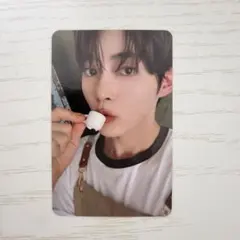 ハンビン zb1 タレントカード