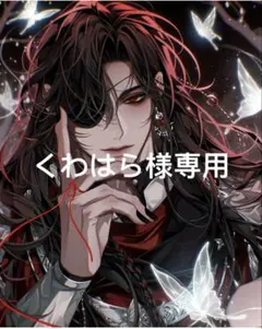 くわはら様 リクエスト 2点 まとめ商品