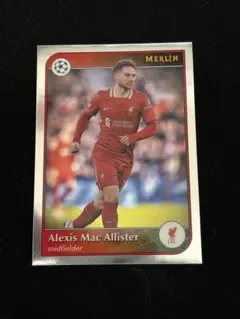 Alexis Mac Allister サッカーカード 193