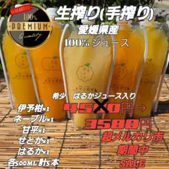 みかんジュース　手搾りストレート　各500ml飲み比べ5 本セットのサムネイル
